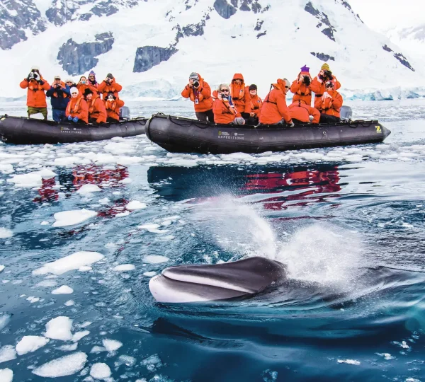 Guests exploring by zodiac, Antarctica