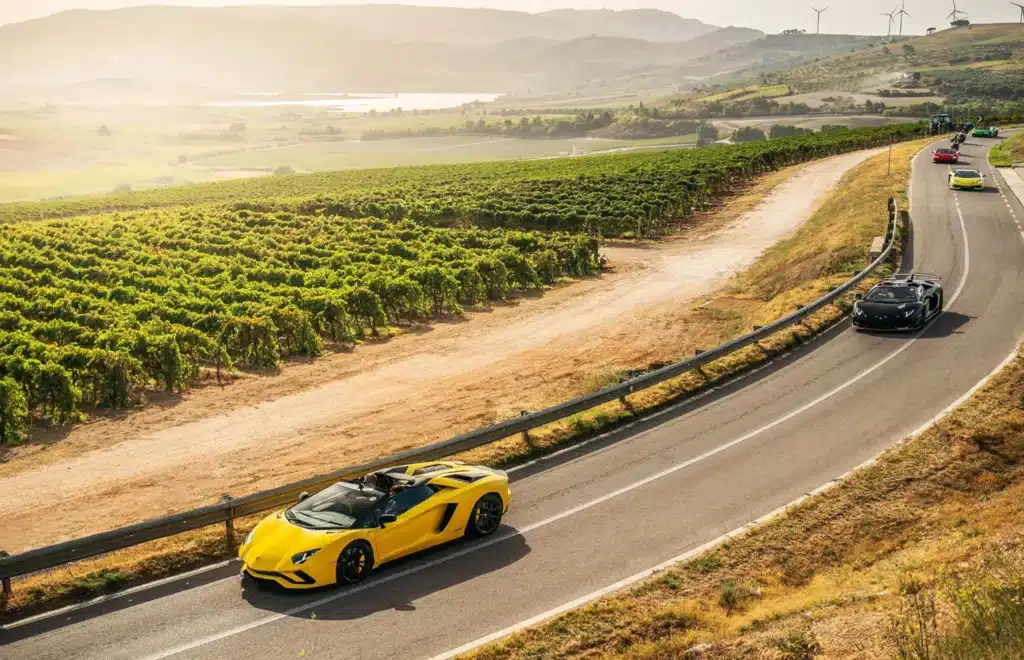 Yellow and black sports cars driving on a winding road beside a vineyard.